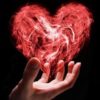 La vita del cuore*