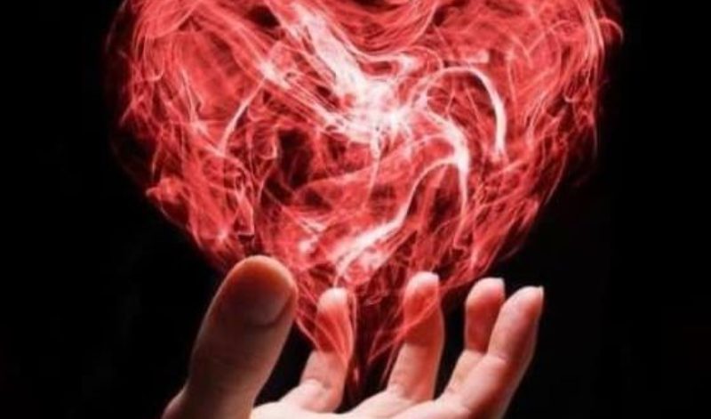 La vita del cuore*